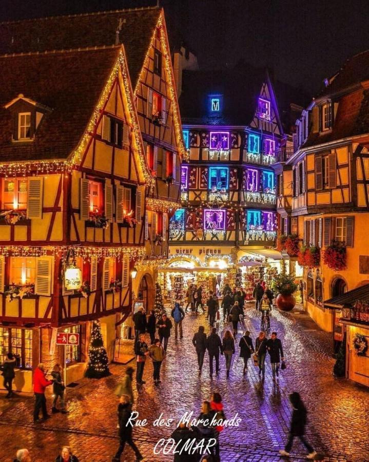 Gite Cote Cour Colmar Bagian luar foto